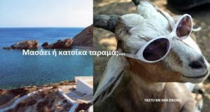 Read more about the article Μασάει ή κατσίκα ταραμά;…