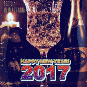 Read more about the article HAPPY NEW YEAR GIF