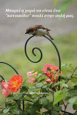 Μπορεί η χαρά να είναι ένα “κατοικίδιο” πουλί στην αυλή μας.