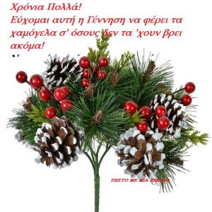 Read more about the article Ευχές Χριστουγέννων. Χρόνια πολλά  σε όλους σας!!!