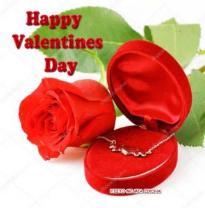 Read more about the article Happy Valentines Day!(εικόνες για ερωτευμένους)