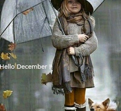 Read more about the article Hello December Pictures for December